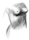 Croquis dont le trait suit les volumes